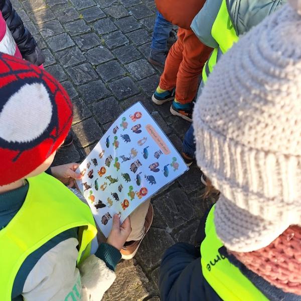 Zoektocht axenroos Zoektocht axenroos